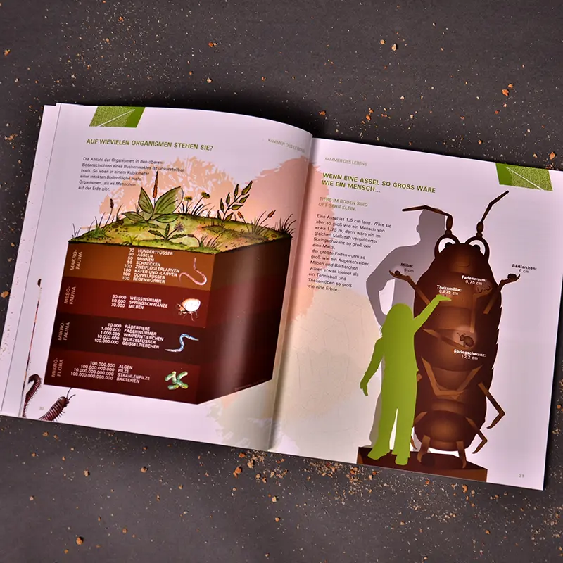 Illustrationen zur Bodenausstellung