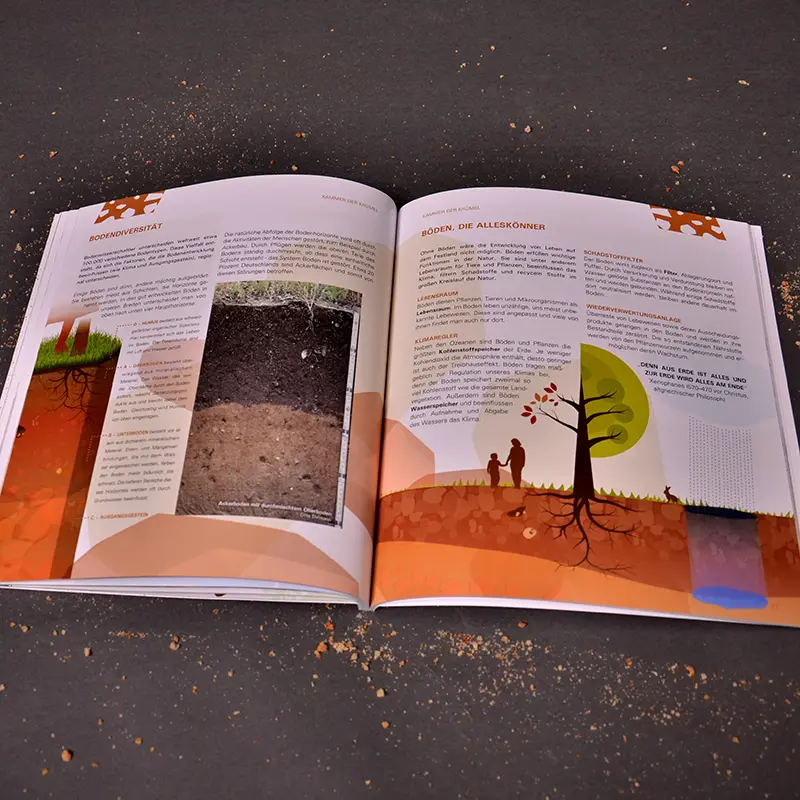 Illustrationen zur Bodenausstellung