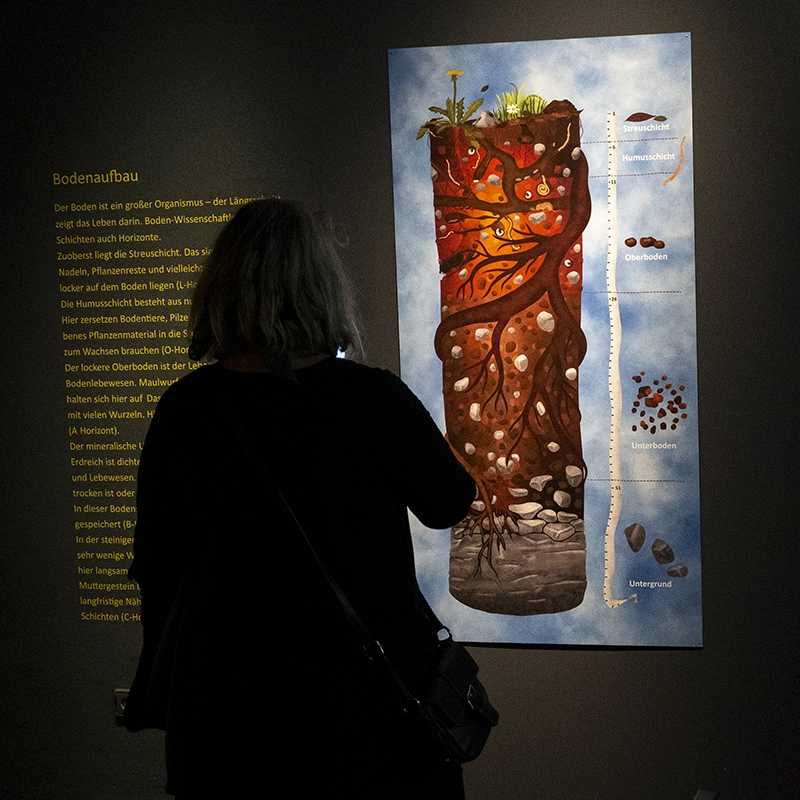 Bodenaufbau - Expedition Erde Ausstellung
