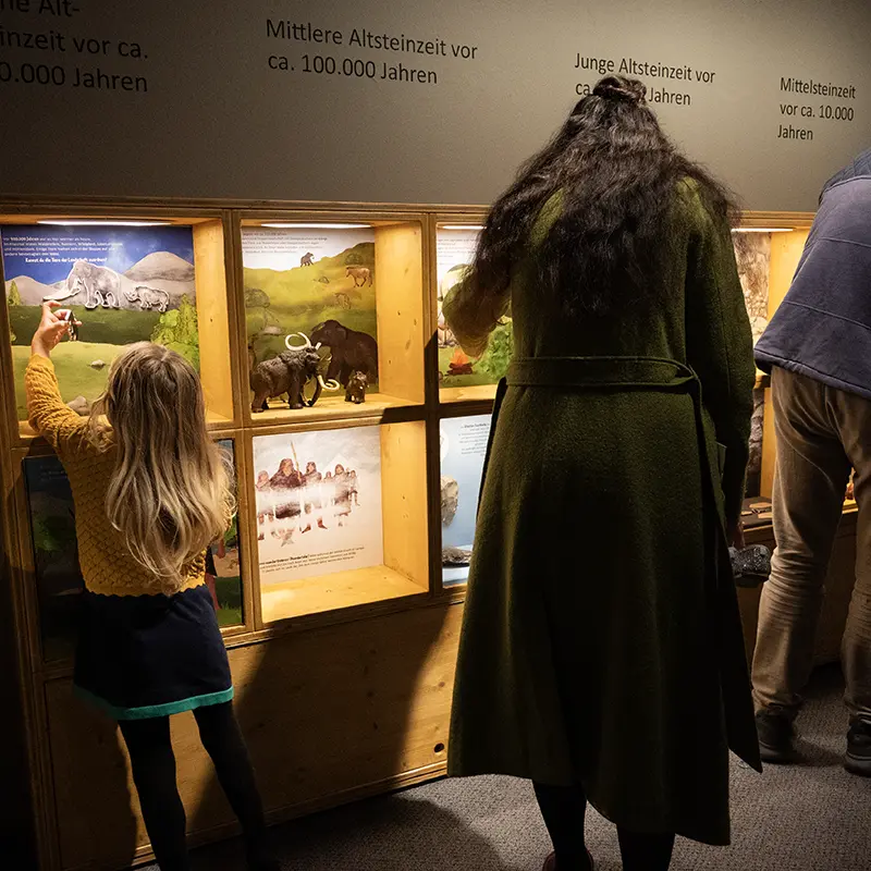 Ausstellungsgestaltung für das Museum der Pfalz