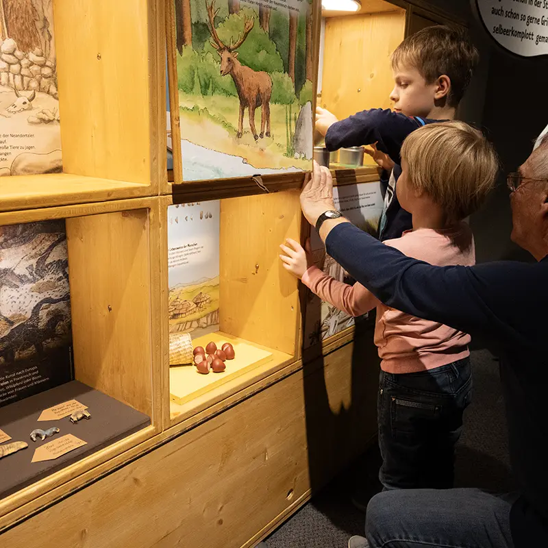 Ausstellungsgestaltung für das Museum der Pfalz