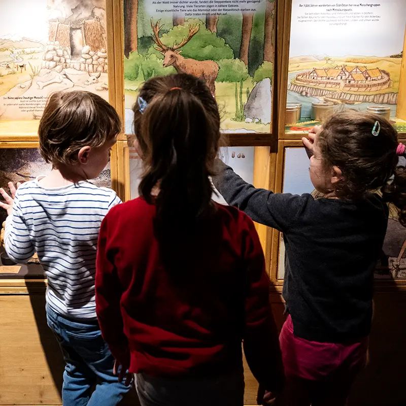 Ausstellungsgestaltung für das Museum der Pfalz