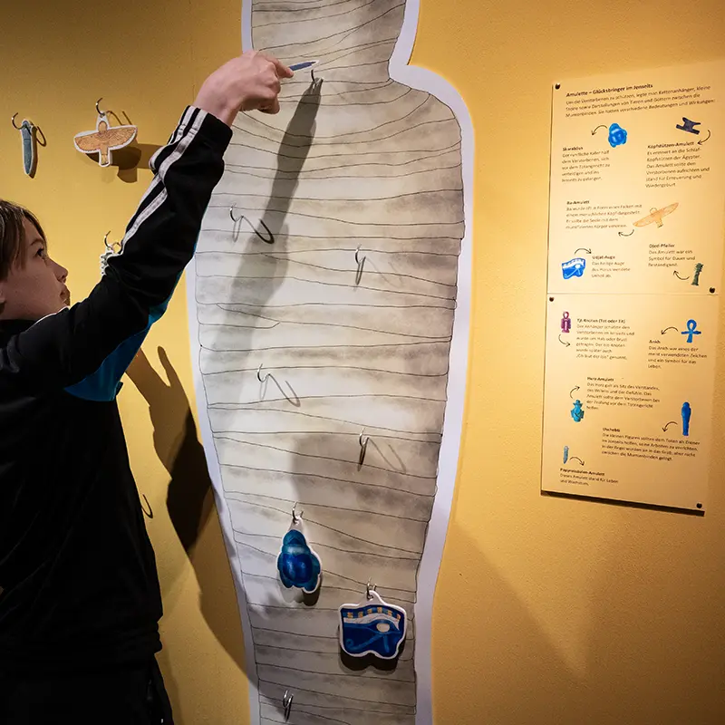 Ausstellungsgestaltung für das Museum der Pfalz